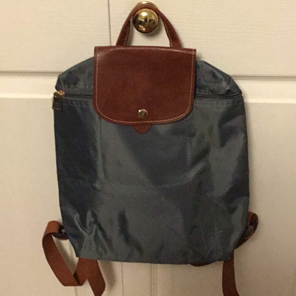 Stylish Gray and Brown Backpack